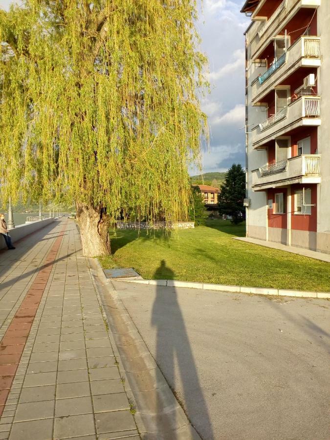 Apartman Bogojevic Golubac Exterior photo